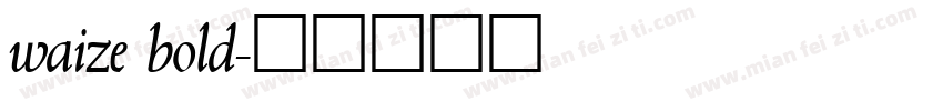 waize bold字体转换